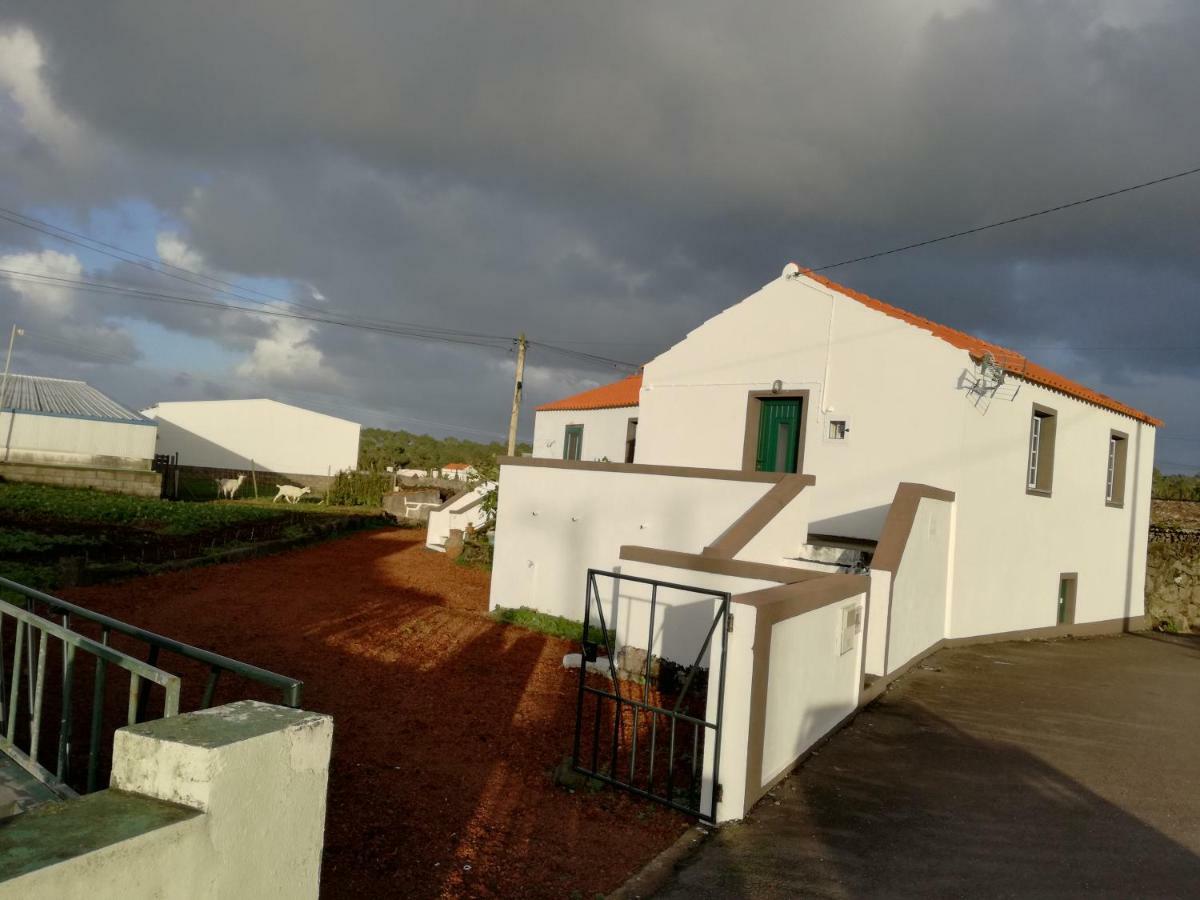 Casa Dos Biscoitos Villa Madalena  Exteriör bild